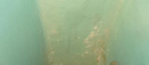 Horrible découverte