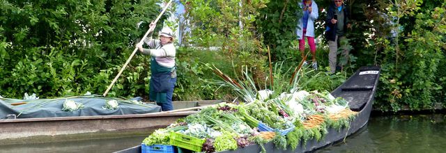 La fête des Hortillons (2)