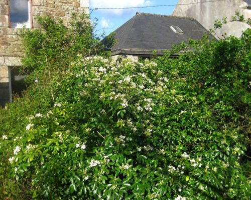 Premier dimanche d'avril: frisquet!