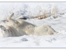 La neige et le jeu