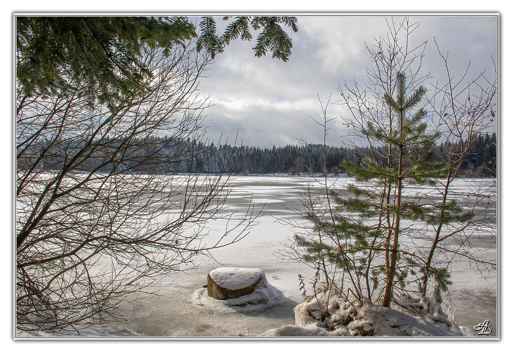 05 - Paysages