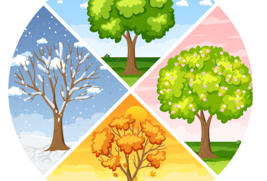 Les 4 saisons