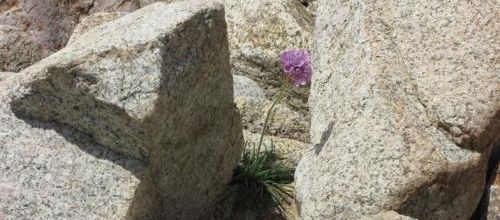 ... quelle force, la nature...