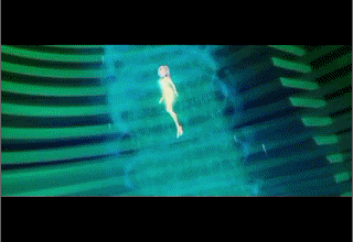 Gifs du 1er film et vidéos