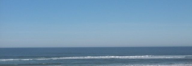 Une balade à ST GIRONS PLAGE (40), le 19 janvier...