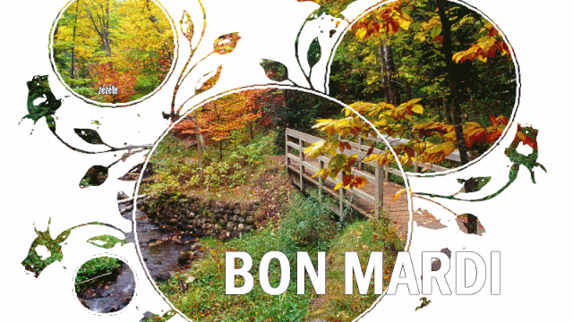BON MARDI D AUTOMNE