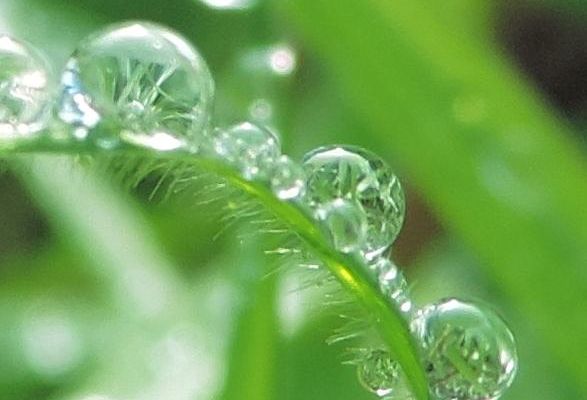 mes gouttes d'eau en macros 