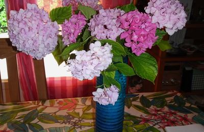 Les hortensias