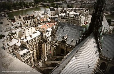1855 - ILE de la CITE avant HAUSSMANN