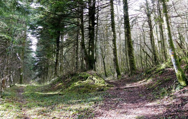 Préparation 2 : De chez moi à la Praille et retour
