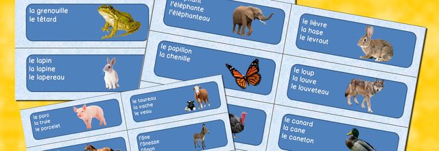 porte-clé: les animaux et leurs petits.