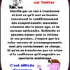 La parole aux politiques , on en parle aux infos du poissonnier.