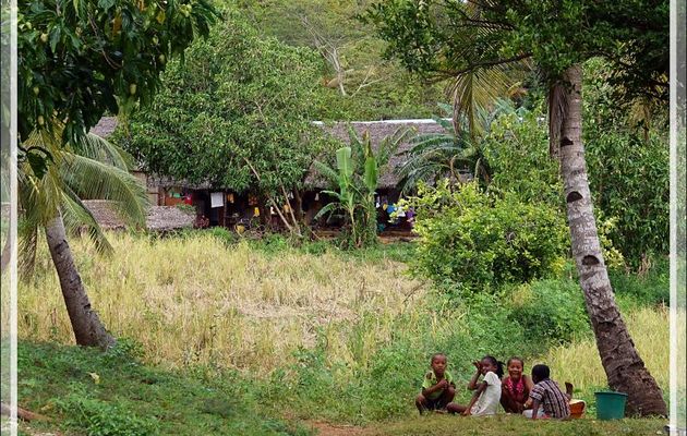 Promenade dans la forêt de Nosy Sakatia : Rencontre très sympathique - Madagascar