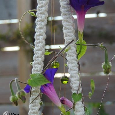 Un ptit tour de jardin...