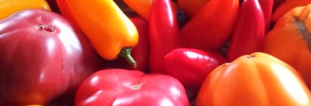 couleurs et saveurs 