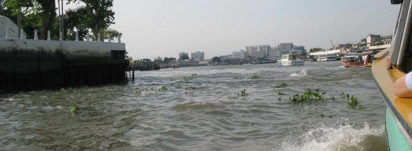 BANGKOK : VISITE DES KLONGS EN BATEAU .