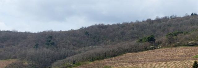 St Etienne les Varenne (2)