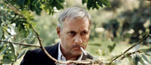 MICHEL SERRAULT BOX OFFICE