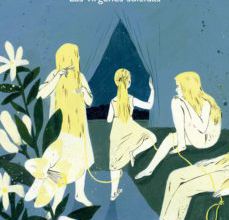 LAS VIRGENES SUICIDAS leer el libro