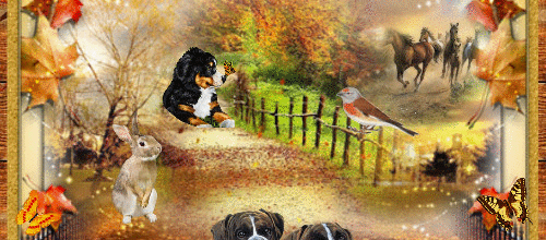 CREA PAYSAGE ANIMAUX