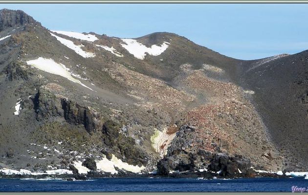 Images de la rencontre avec d'importantes colonies de manchots papous, à jugulaire et Adélie - Gourdin Island - Péninsule Antarctique