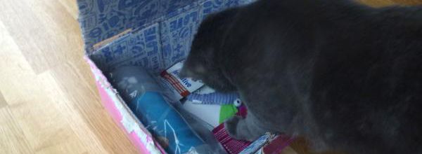 La Miaoubox - Octobre 2015