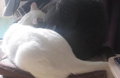 Moment tendresse 