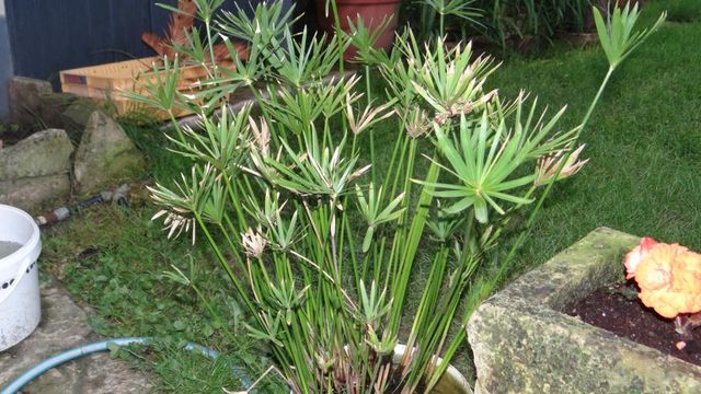 Bienvenue au Mois de Juin