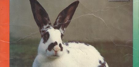Le lapin