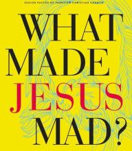 English books for free to download pdf What Made Jesus Mad?: Rediscover the Blunt, Sarcastic, Passionate Savior of the Bible