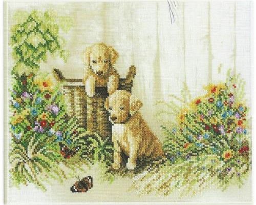 Innocent Puppies (2)