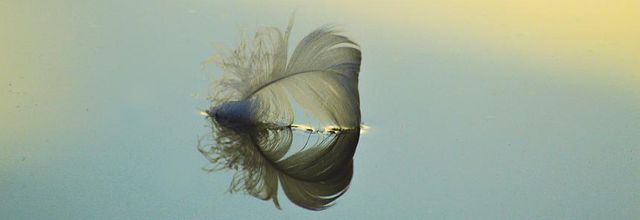 Lac de Plume