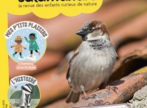 Bientôt les vacances...
