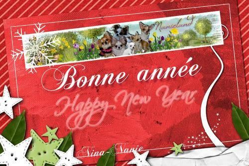 Tous Mes Voeux Pour Vous