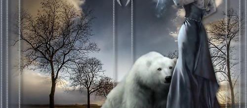  L'ours blanc .