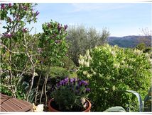 Petit printemps tout neuf ....