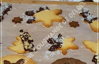 BISCUITS DE NOËL,BICOLORES