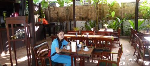 J8, alentours de Luang Prabang, éléphants, Laos