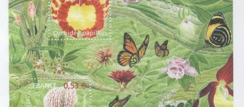 Un blog feuillet Orchidées au parfum de vanille - 2005