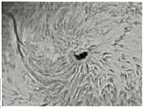 16 mars 2014 : Pluie de plasma sur le soleil