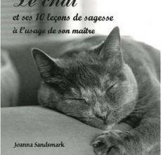 Le chat et ses 10 leçons de sagesse - Joanna Sandsmark