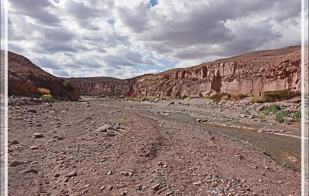 Petite randonnée pédestre en descendant le cours du Rio Salado jusqu'à sa confluence avec le Rio Grande qui vont donner le Rio San Pedro  - San Pedro de Atacama - Chili