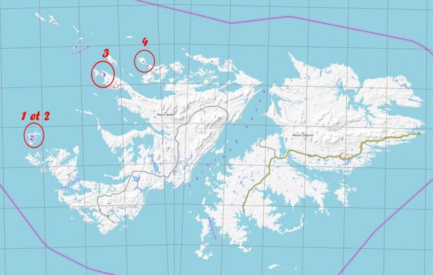 6 mars 2019 : dernier débarquement aux Falkland sur l'île Saunders