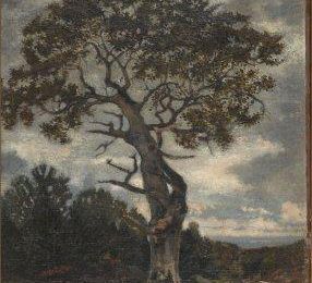 Fontainebleau (forêt de)