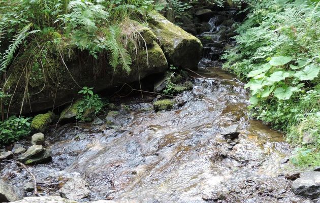 la cascade du saut du loup (63)