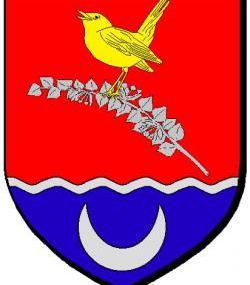 Coigneux