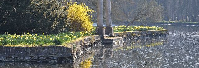 Rambouillet : Dès que le printemps revient (1)