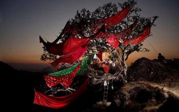 le bonheur en bouquet..