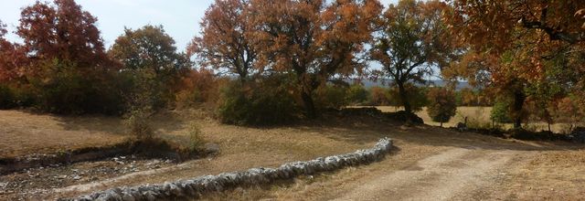 Août 2022  sur le Causse