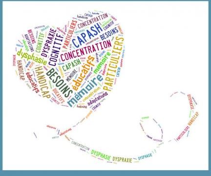 * Obtenir le capa-sh option D (examen, formation)